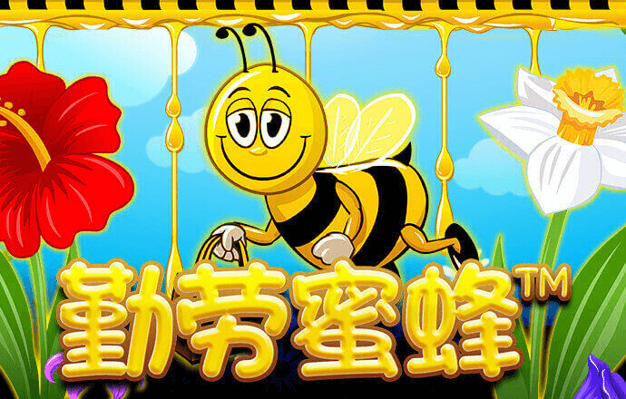 9球体育官网直播